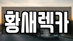 황새렉카