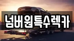 넘버원특수렉카