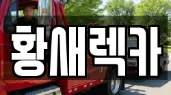 황새렉카