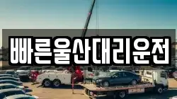 빠른울산대리운전