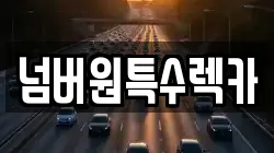 울산 남구 남화동 렉카, 특수렉카, 차량탁송, 견인운송