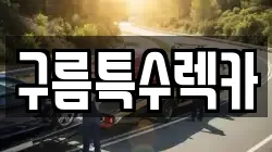 울산 남구 달동 렉카, 특수렉카, 차량탁송, 견인운송