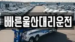 빠른울산대리운전