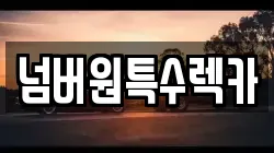 넘버원특수렉카
