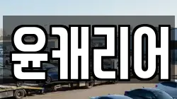 윤캐리어