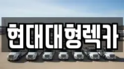 울산 남구 여천동 렉카, 특수렉카, 차량탁송, 견인운송