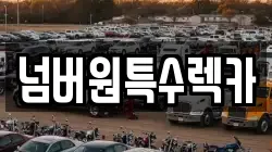 울산 동구 주전동 렉카, 특수렉카, 차량탁송, 견인운송