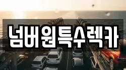 넘버원특수렉카