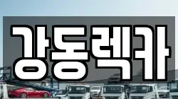 울산 북구 정자동 렉카, 특수렉카, 차량탁송, 견인운송