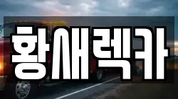황새렉카