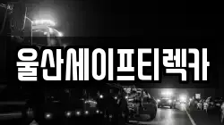울산세이프티렉카
