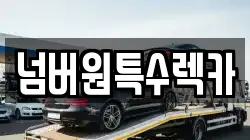 울산 울주군 삼동면 렉카, 특수렉카, 차량탁송, 견인운송