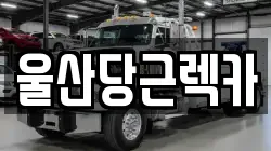 울산당근렉카