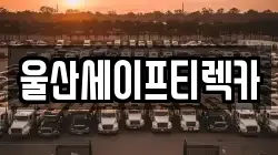 울산 울주군 언양읍 렉카, 특수렉카, 차량탁송, 견인운송