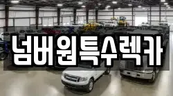 넘버원특수렉카