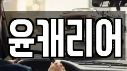 윤캐리어