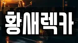 황새렉카