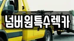 넘버원특수렉카