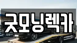 굿모닝렉카