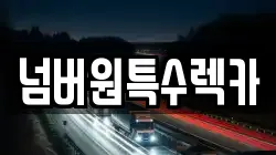 울산 중구 성남동 렉카, 특수렉카, 차량탁송, 견인운송
