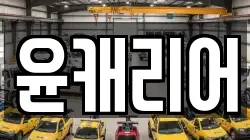 윤캐리어