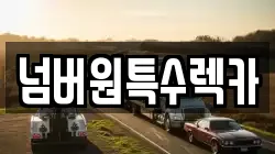 넘버원특수렉카