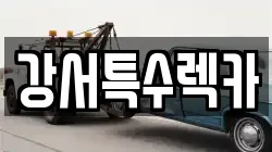 강서특수렉카