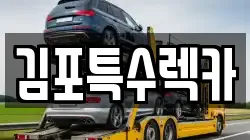 김포특수렉카