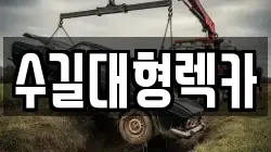 인천광역시 계양구 노오지동 렉카, 특수렉카, 차량탁송, 견인운송