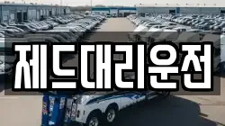 제드대리운전