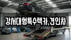 강서대형특수렉카,견인차