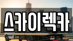 스카이렉카