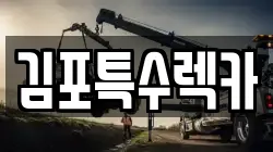 김포특수렉카