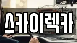 스카이렉카