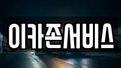 이카존서비스