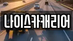 나이스카캐리어