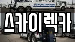 스카이렉카
