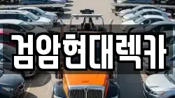 인천광역시 서구 금곡동 렉카, 특수렉카, 차량탁송, 견인운송