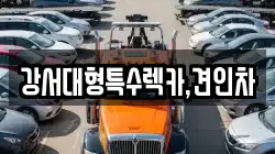 강서대형특수렉카,견인차