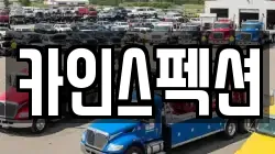 카인스펙션