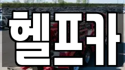 헬프카