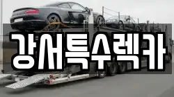 인천 강화군 선원면 렉카, 특수렉카, 차량탁송, 견인운송