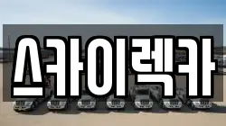 스카이렉카