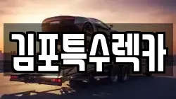 김포특수렉카