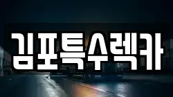 김포특수렉카