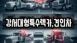 강서대형특수렉카,견인차