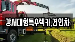 강서대형특수렉카,견인차