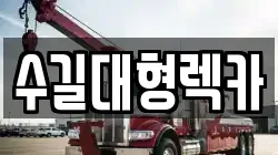 인천 남동구 논현동 렉카, 특수렉카, 차량탁송, 견인운송