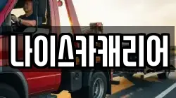나이스카캐리어