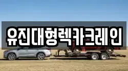 유진대형렉카크레인